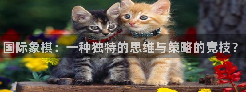 欧亿体育官方正版app集团logo：国际象棋：一种独