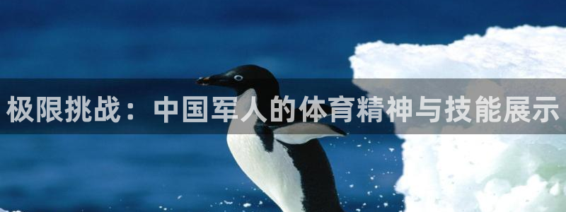 oety欧亿体育官网下载招商电话地址是多少：极限挑战