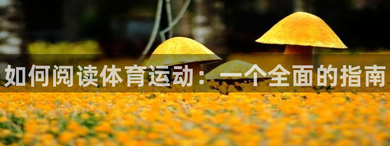 欧亿体育官方正版app集团：如何阅读体育运动：一个全