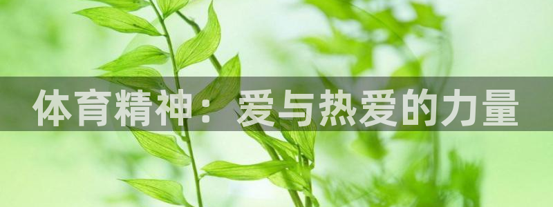 欧亿体育官方正版app娱乐40996：体育精神：爱与
