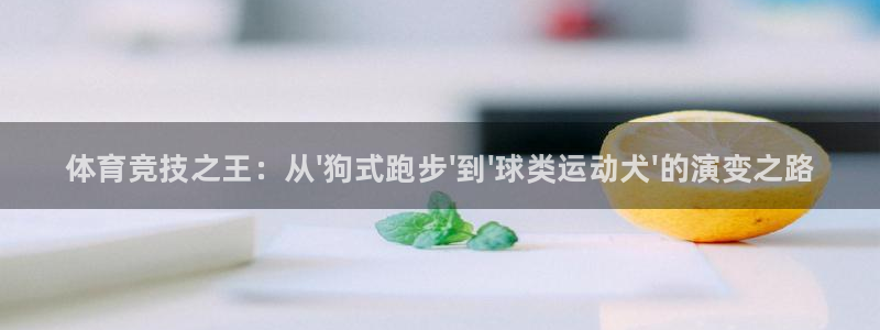 欧亿体育官方正版app娱乐是那个系列的台子：体育竞技