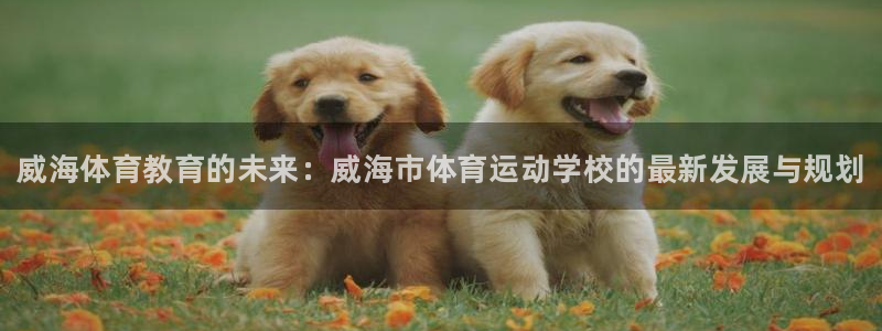 oety欧亿体育官网下载开户：威海体育教育的未来：威