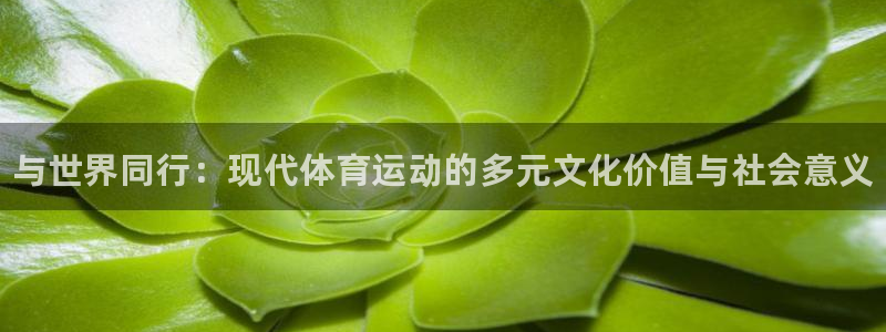 oety欧亿体育官网下载：与世界同行：现代体育运动的