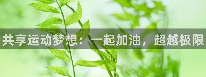 oety欧亿体育官网下载平台注册流程图：共享运动梦想