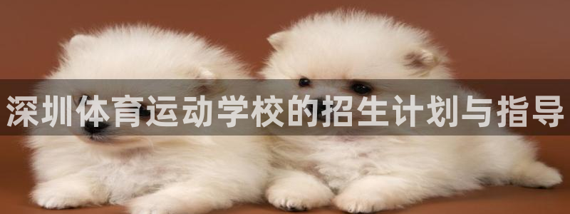 海南oety欧亿体育官网下载：深圳体育运动学校的招生计划与指