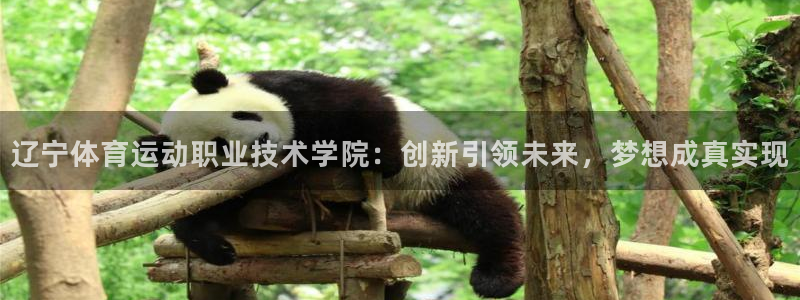 oety欧亿体育官网下载平台