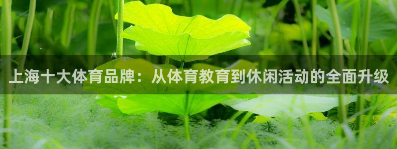 欧亿体育官方正版app集团：上海十大体育品牌：从体育