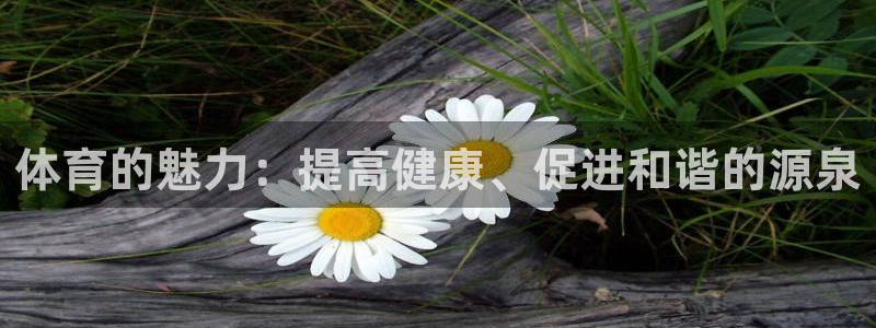 注册欧亿体育官方正版app：体育的魅力：提高健康、促