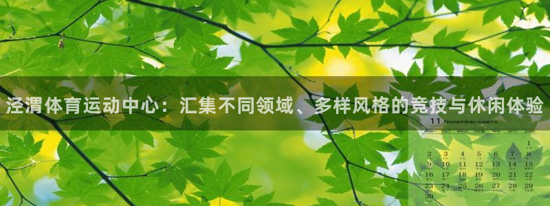 欧亿体育官方正版app娱乐首页官网下载：泾渭体育运动中心：汇
