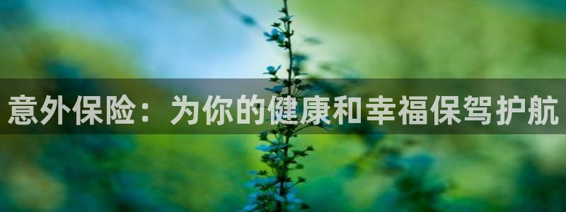 oe欧亿平台界面：意外保险：为你的健