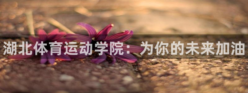 欧亿网址：湖北体育运动学院：为你的未