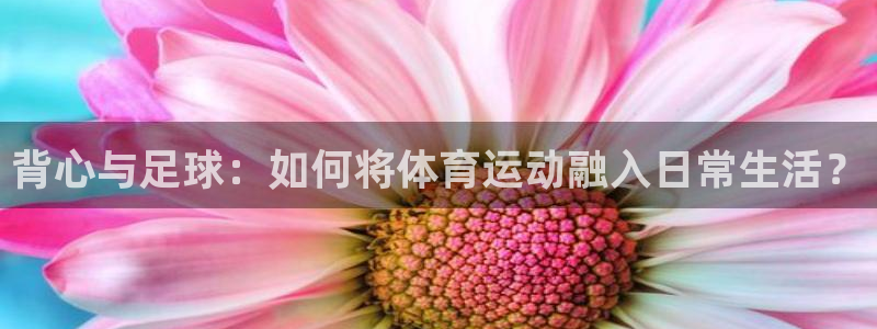 欧亿平台注册：背心与足球：如何将体育