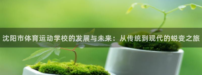 oety欧亿体育官网下载平台APP