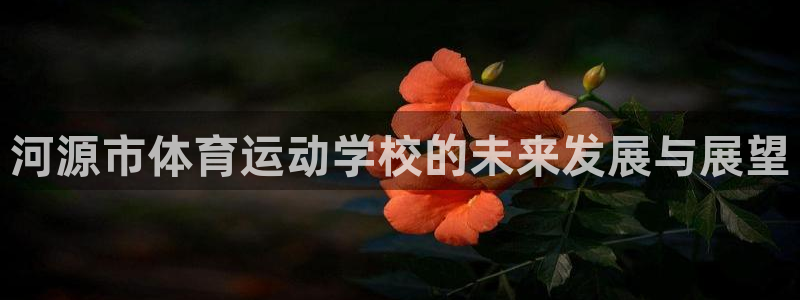 欧亿体育官方正版app新能源