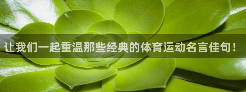 oety欧亿体育官网下载招商电话号码